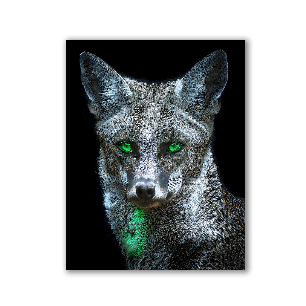 Fox with emerald eyes by Aldanis - Affengeile Bilder
