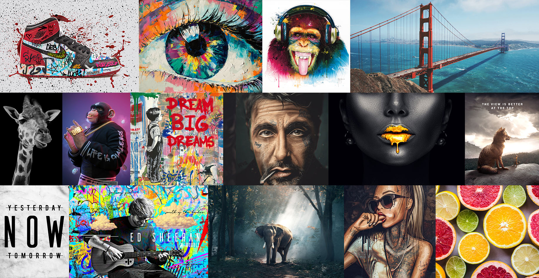 Collage einiger unserer Motive