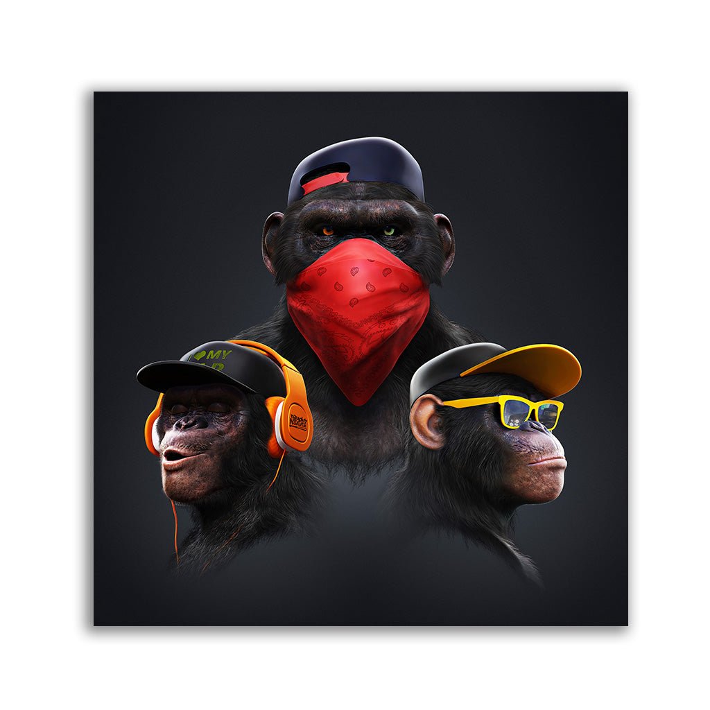 Affengeil Quadratisch by Juliano de Araujo - Affengeile Bilder