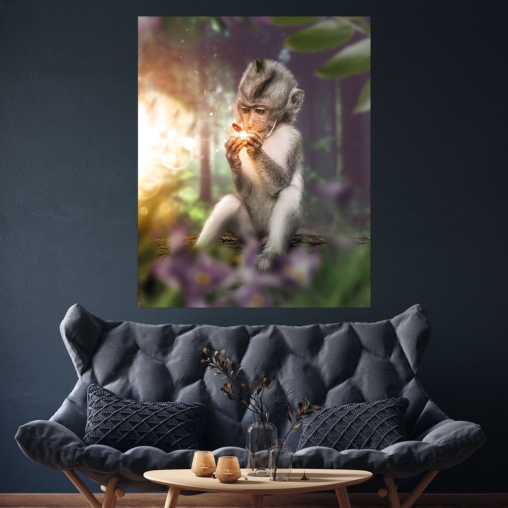 "Baby Monkey" - Affengeile Bilder