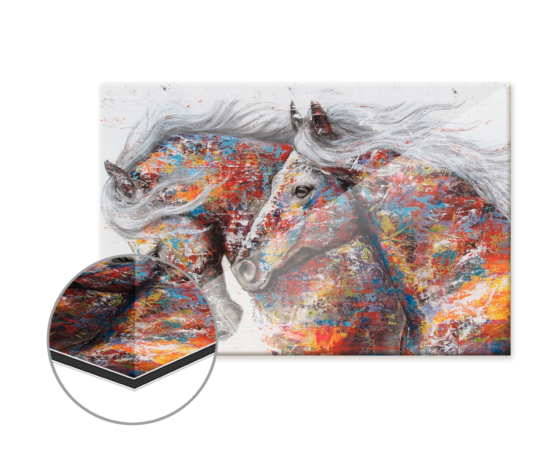 Color Horses - Affengeile Bilder