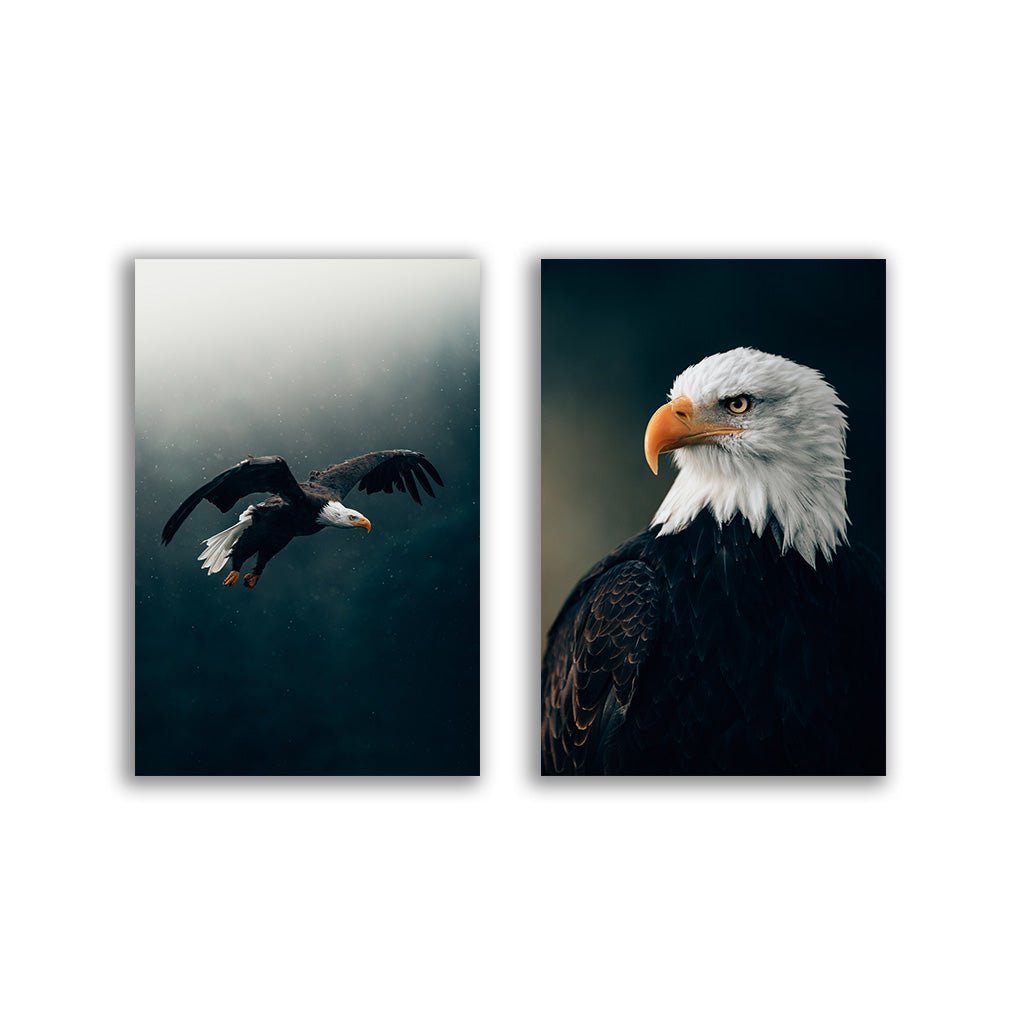 "Eagle" - Duo - Affengeile Bilder
