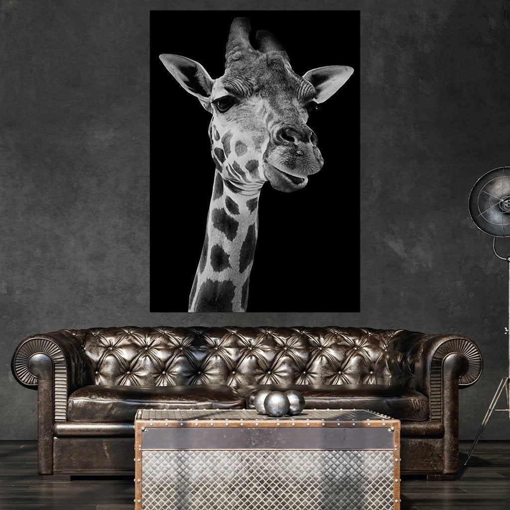 "Giraffe" Black/White - Affengeile Bilder