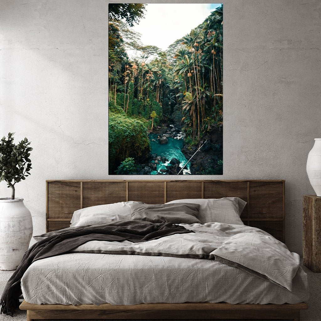 "Jungle" - Affengeile Bilder