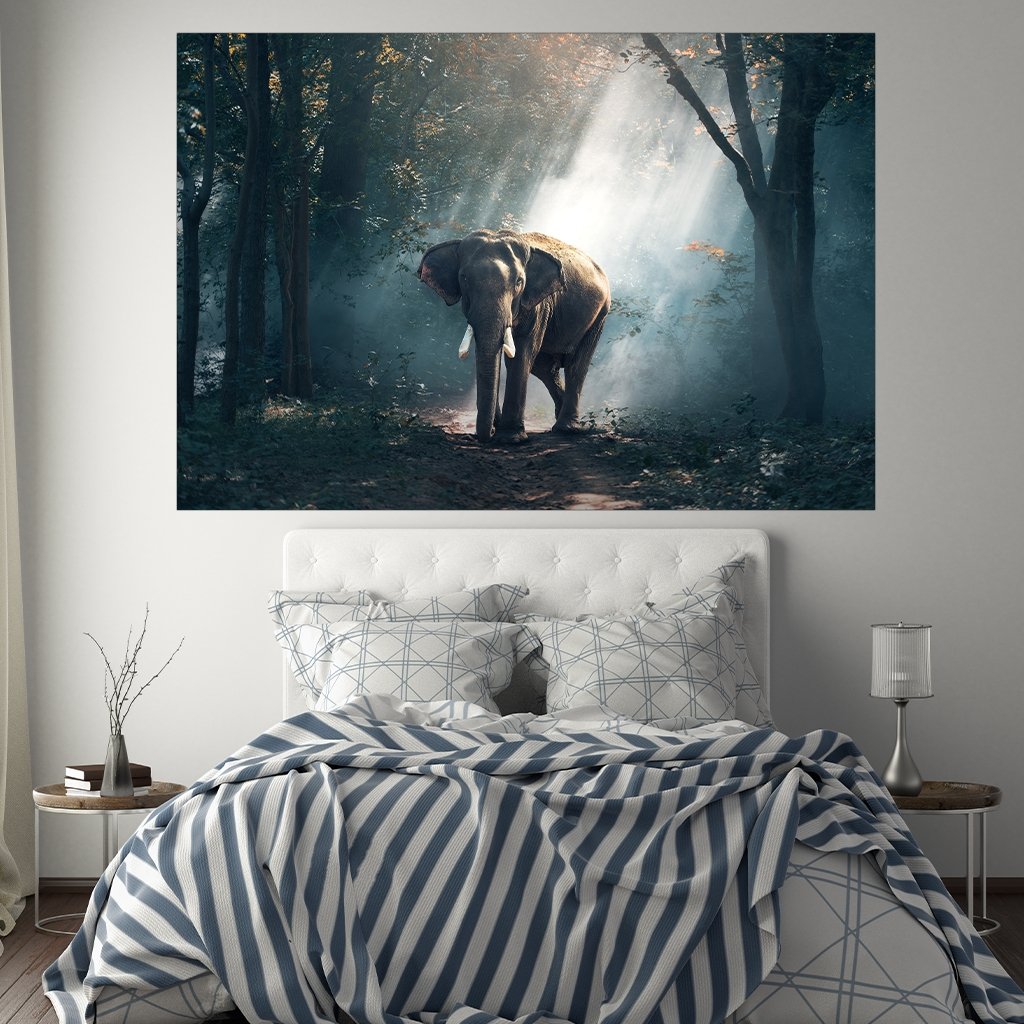 "Lonely Elephant" - Affengeile Bilder