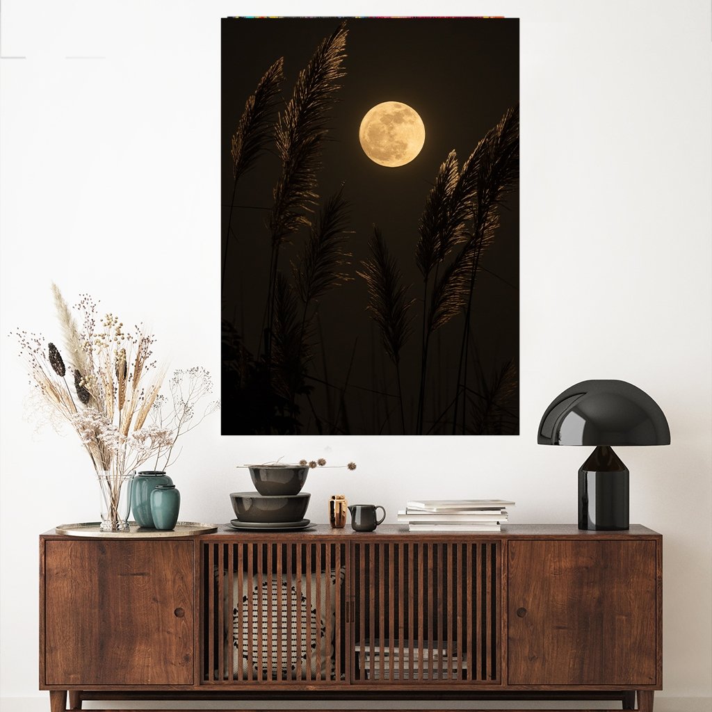 "Moon"  - Affengeile Bilder