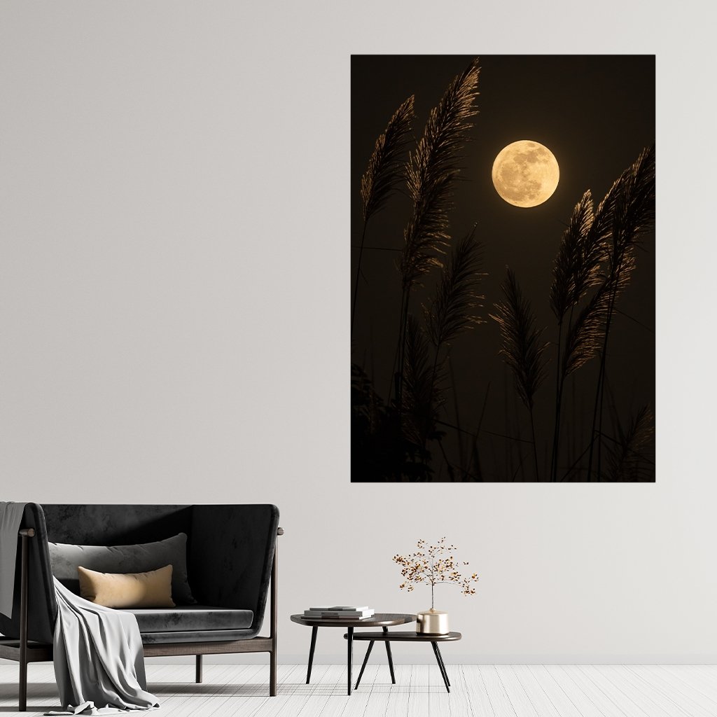 "Moon"  - Affengeile Bilder