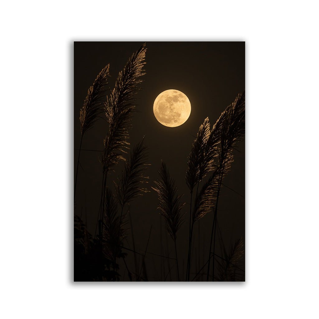 "Moon"  - Affengeile Bilder