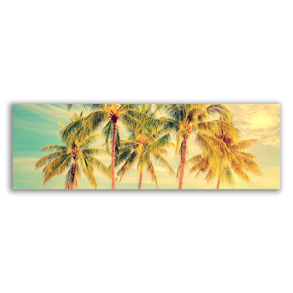 "Palm Trees" - Affengeile Bilder