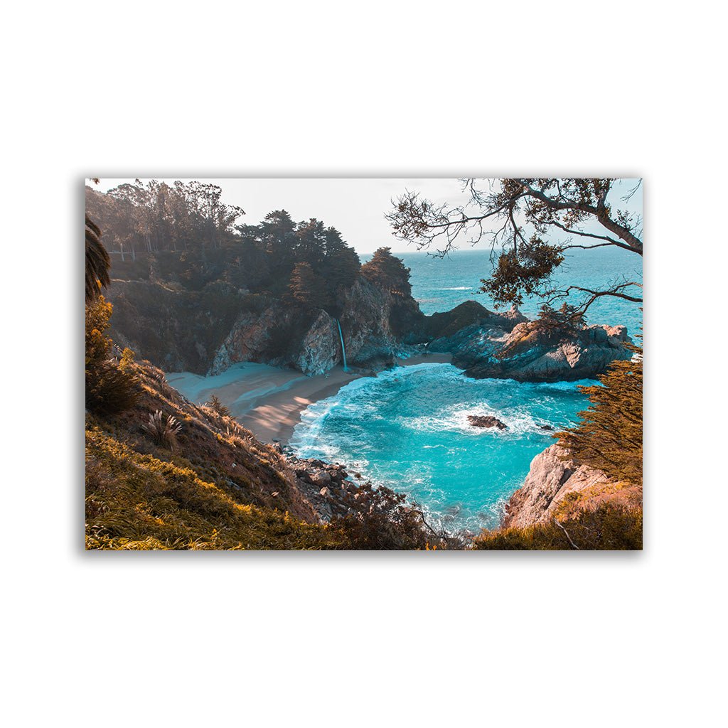 "Paradies" - Affengeile Bilder