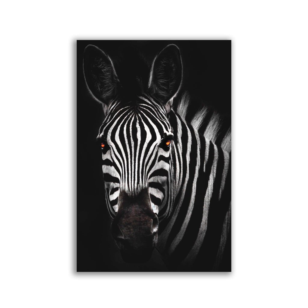 "Zebra" - Affengeile Bilder
