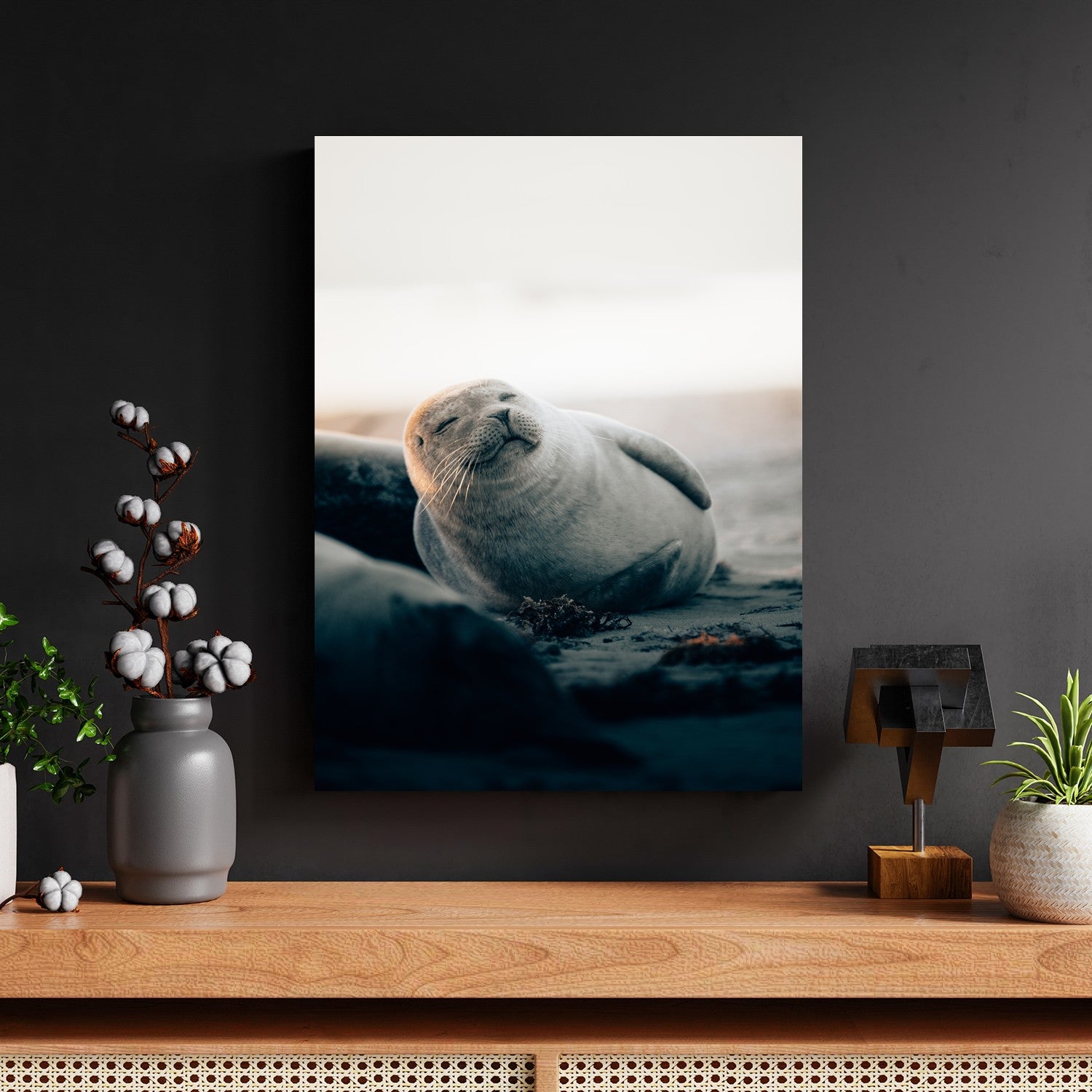 Smiling Seal Beach by Philipp Pilz - Affengeile Bilder