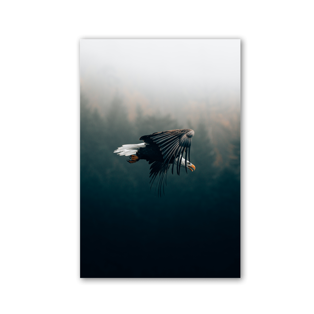 Eagle Flight Through Fog by Philipp Pilz - Affengeile Bilder