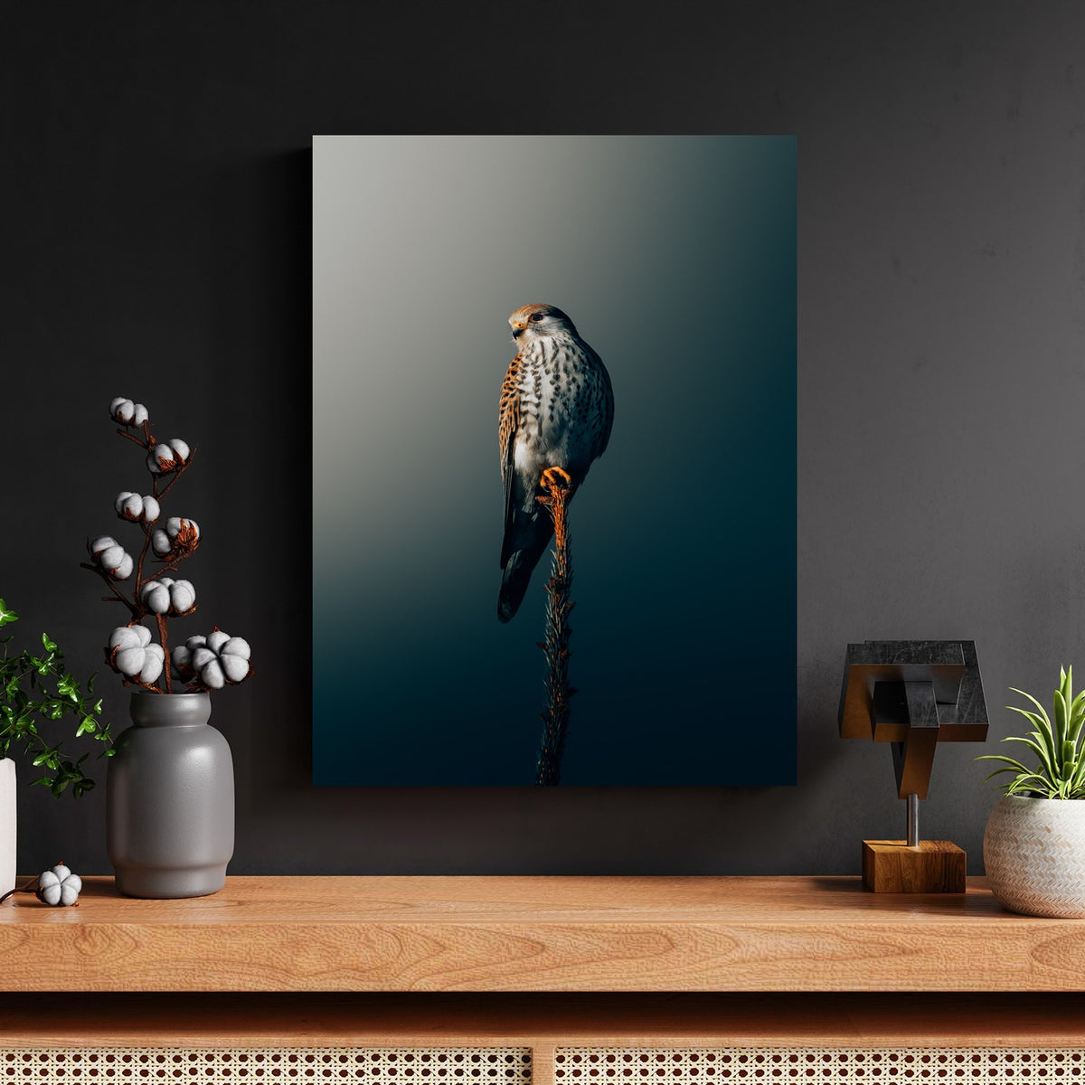 Perched Kestrel Silhouette by Philipp Pilz - Affengeile Bilder