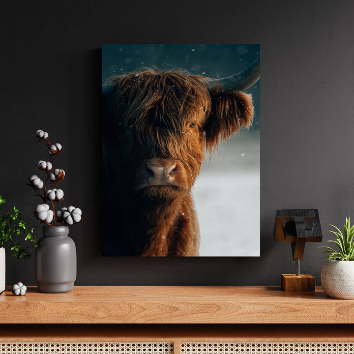 Highland Cattle in Falling Snow by Philipp Pilz - Affengeile Bilder