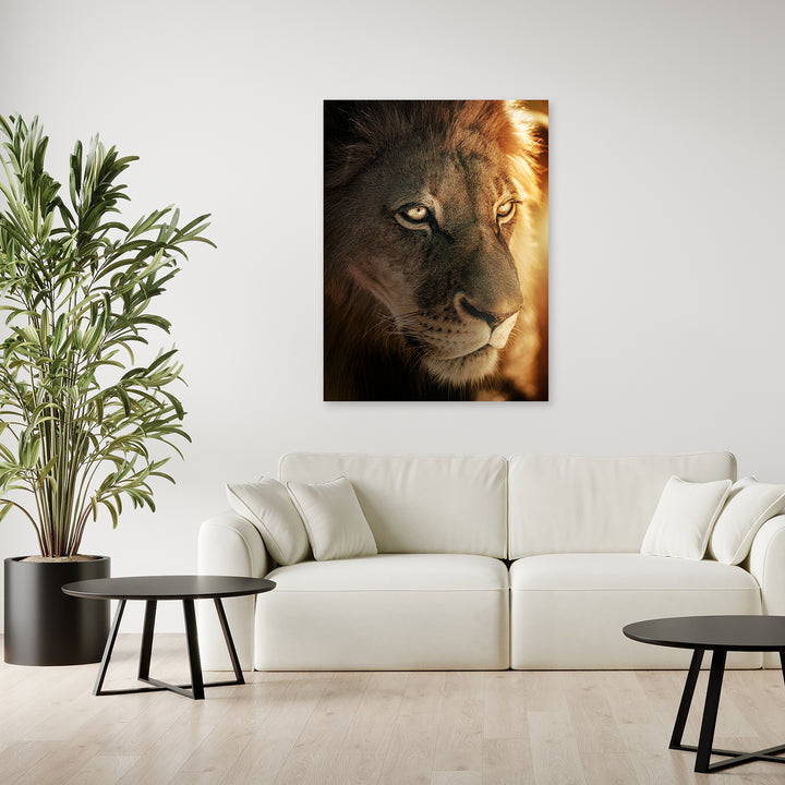 Golden Glow Lion by Zenzdesign - Affengeile Bilder
