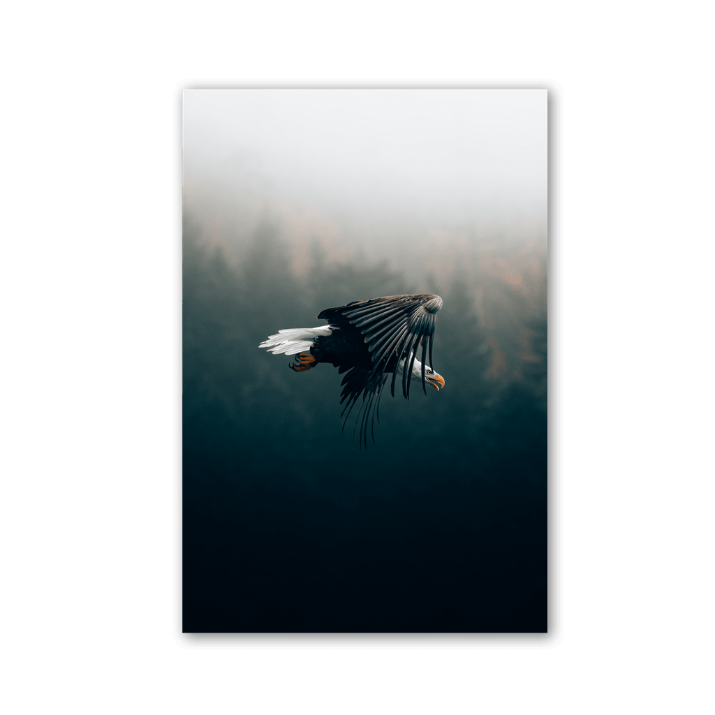 Eagle Flight Through Fog by Philipp Pilz - Affengeile Bilder