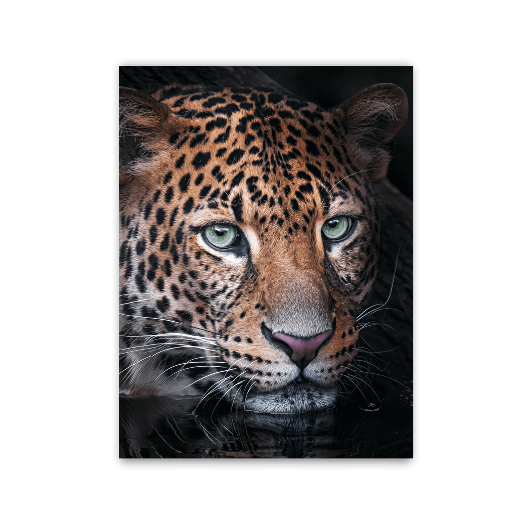 Mystic River Leopard by Zenzdesign - Affengeile Bilder