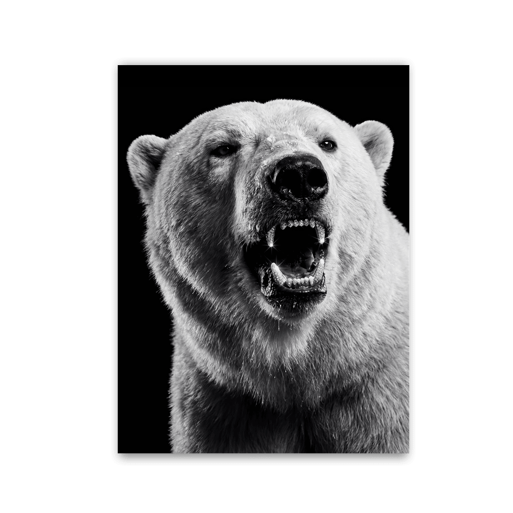 Polar Beast Roar by Zenzdesign - Affengeile Bilder