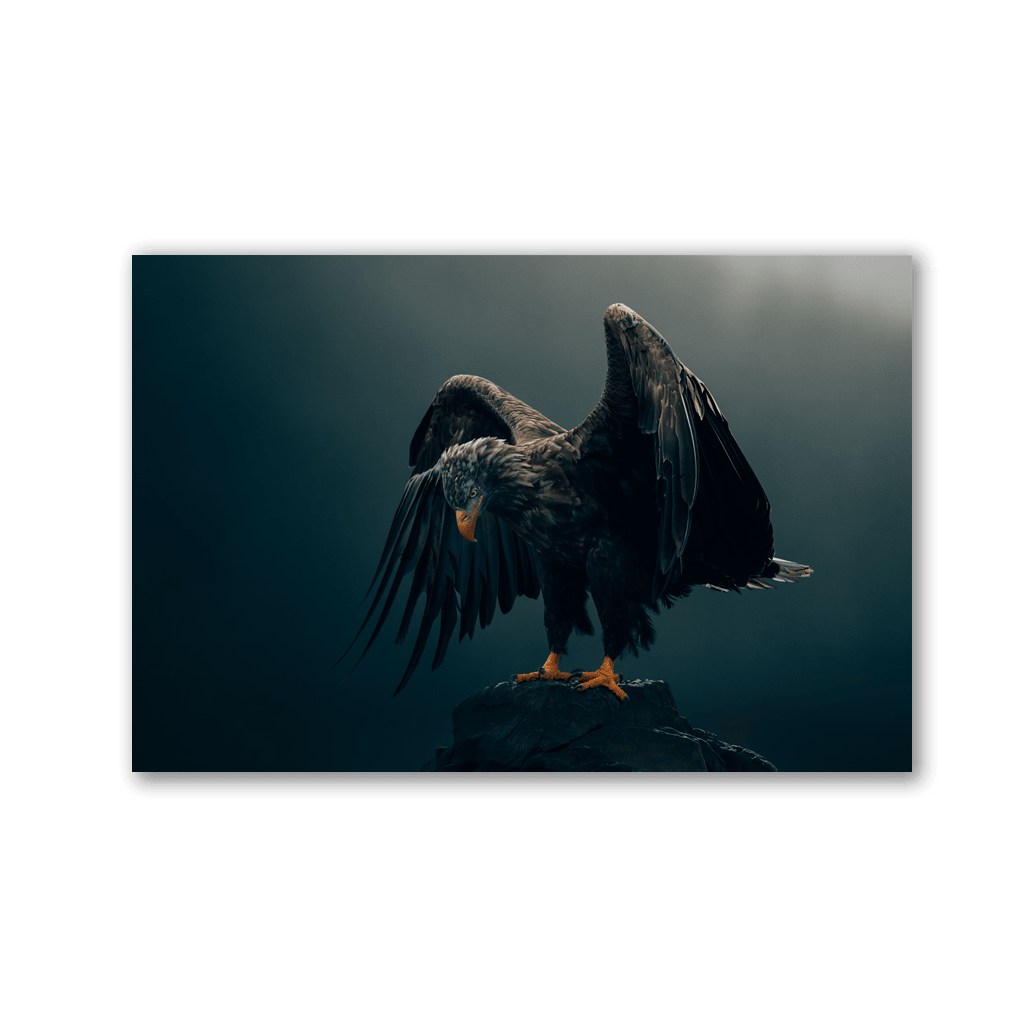 Spreading Wings Sea Eagle by Philipp Pilz - Affengeile Bilder
