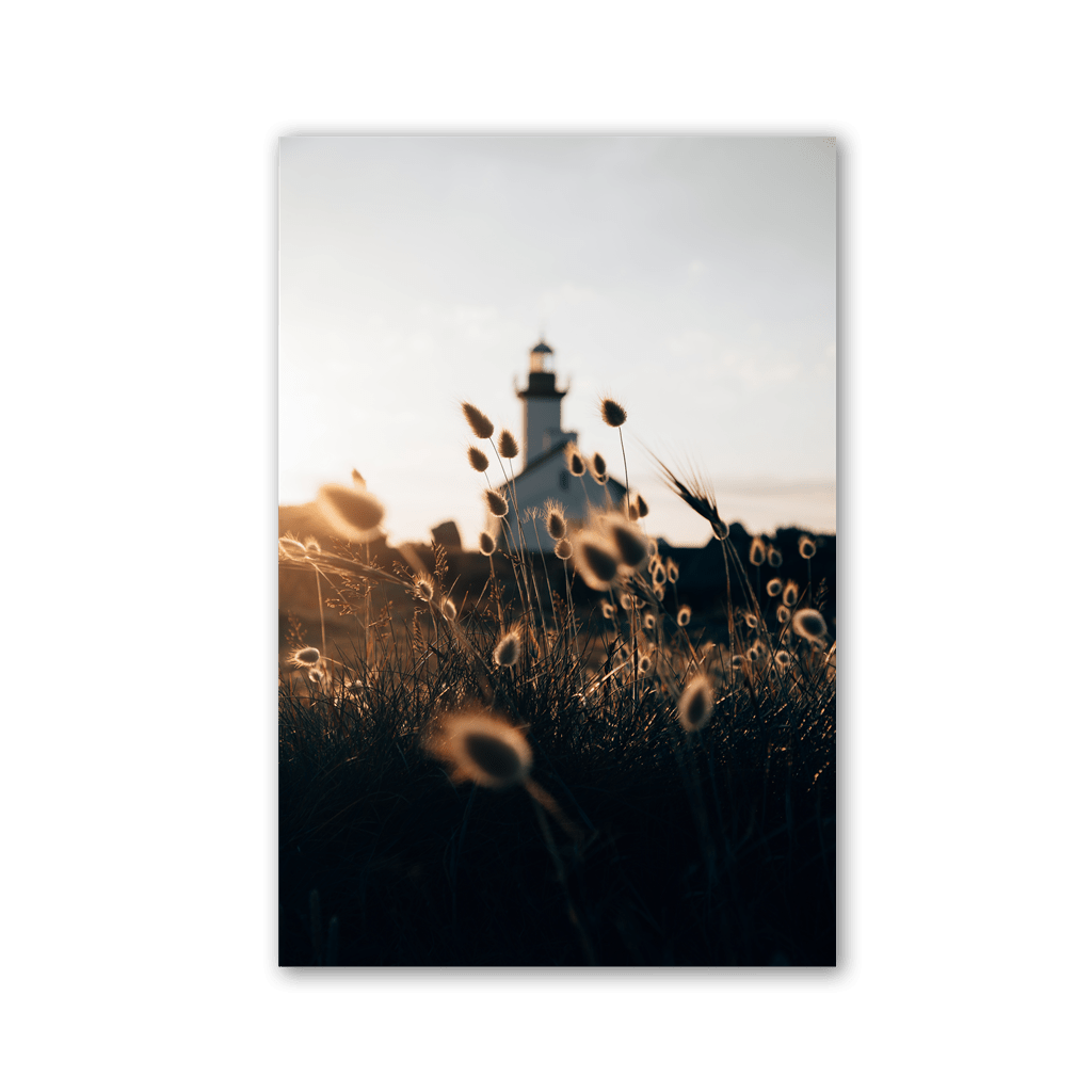 Wild Grass Lighthouse View by Philipp Pilz - Affengeile Bilder