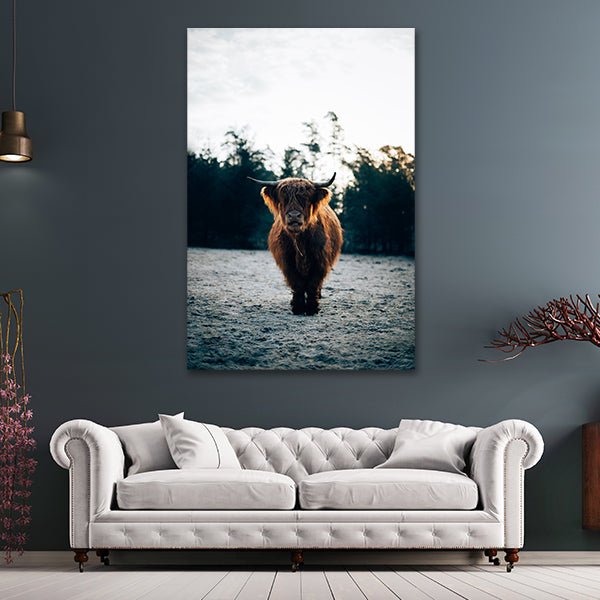 "Highland Cow" by Philipp Pilz - Affengeile Bilder
