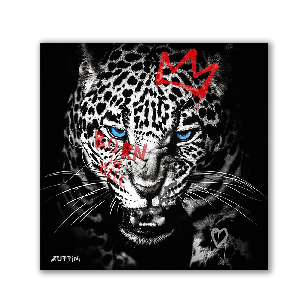 Leopard King by Zuppini - Affengeile Bilder