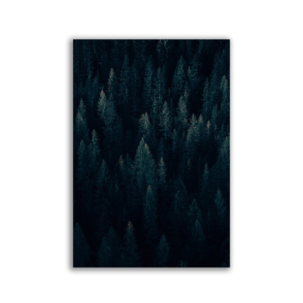 "Moody Forrest" Vertical - by Philipp Pilz - Affengeile Bilder