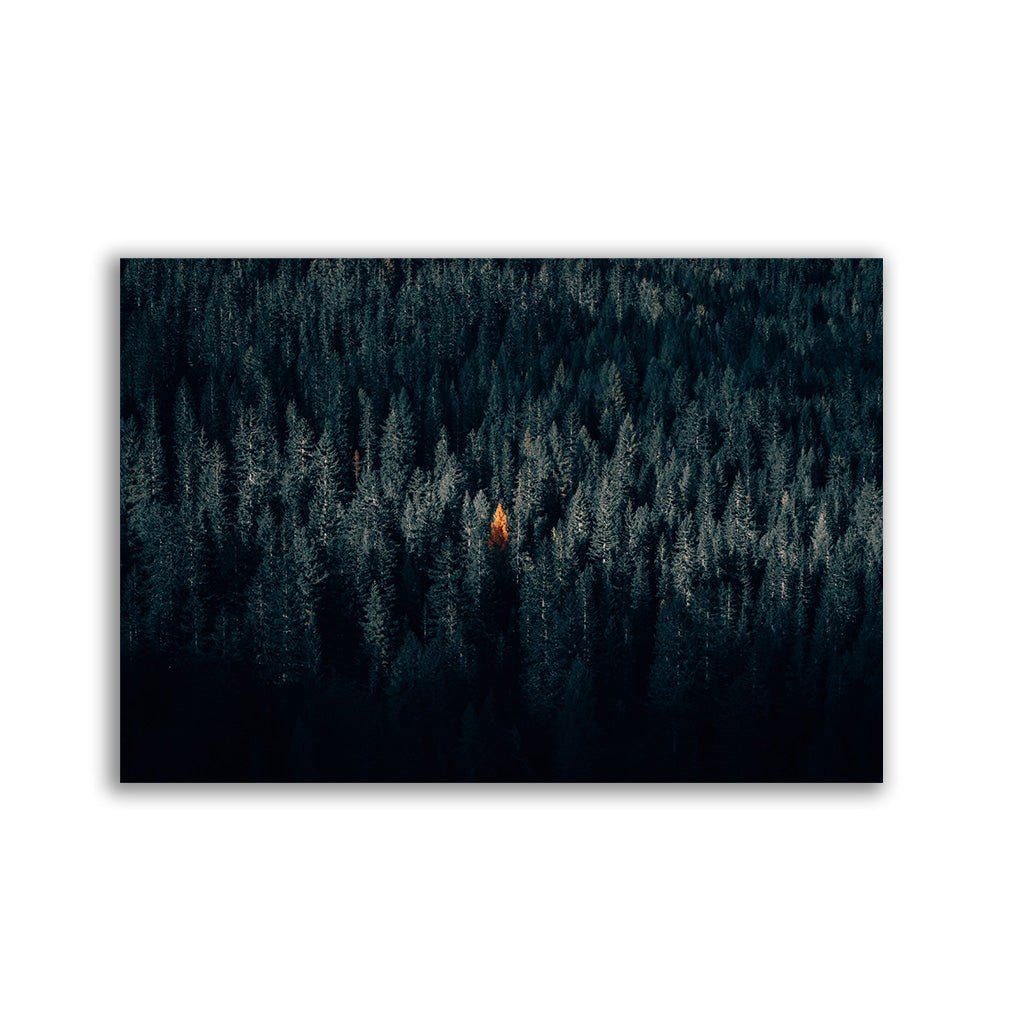 "The One Tree" Horizontal - by Philipp Pilz - Affengeile Bilder